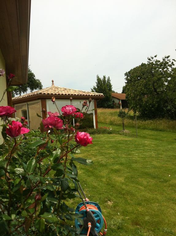Le Clos Castel - Gite Equipe Casteljaloux Bagian luar foto
